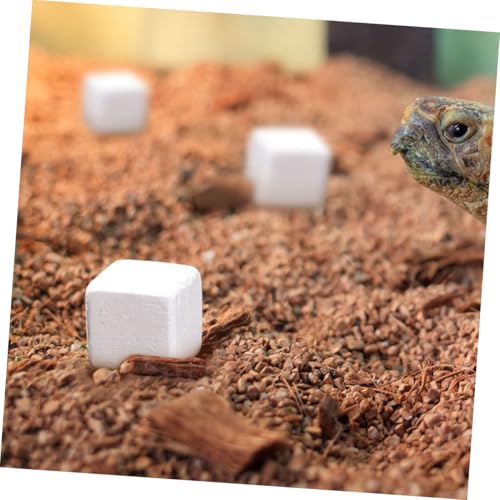 TOYANDONA 30pcs Climbing Pet Calcium Block Chameleon Reptiles Stone for Turtle Tortoise Lizard Frog Amphibian Health Products Turtle Tortoise Lizard Amphibian Health Products