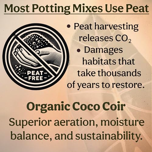 Craft Aroid Potting Mix- Elite Organic Alocasia, Philodendron, Monstera Soil Mix, Chunky, Well Draining Potting Soil for Indoor Plants, All Tropical Plants & Houseplants, Perlite & Peat Free 2QT - size: 2 Quart