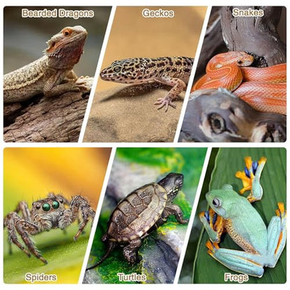 Fhiny 10 PCS Cork Bark Background, 11.6" x 7.7" Natural Cork Bark for Reptiles Bearded Dragon Climbing Backdrop Terrarium Habitat Wall Decor Accessories for Turtle Gecko Lizard Snake Spider Frog