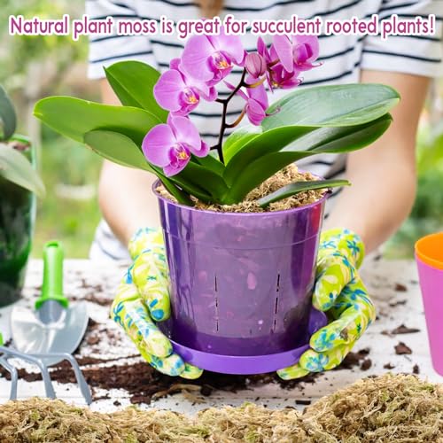 Riare 1.1 LBS Premium Sphagnum Moss- Natural Long Fibered Sphagnum Peat Moss Plants Moss Dried, Carnivorous Plants Moss Orchid Potting Mix for Orchids, Succulent, Reptiles (20QT) - size: 20QT/1.1lbs