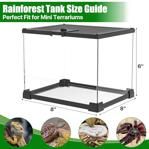Mini Glass Terrarium Tank 8"x8"x6" with Top-Opening Mesh Lid, 360° Clear View, Ventilated Enclosure for Tarantulas, Jumping Spiders, Isopods, Froglets, & Small Reptiles - size: 8" x 8" x 6"