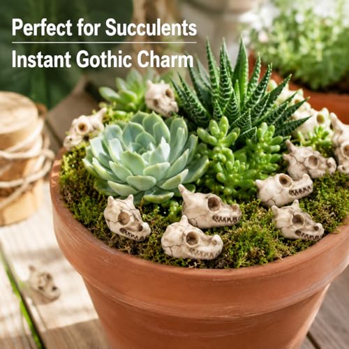 20PCS Miniature Dragon Skull Ornaments for Aquarium Decorations, Tiny Dinosaur Bones for Succulent Plant Pots, Gothic Fairy Garden Terrarium Kit