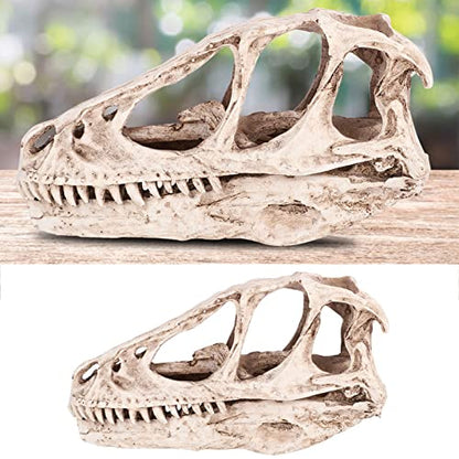 HERCHR 3D Dinosaur Skull Decor, Reptile Resin Dinosaur Skull Decoration Aquarium Decoration Model Dinosaur Animal Skull Reptile Ornament for Craft Teaching Prop Home Office Decor