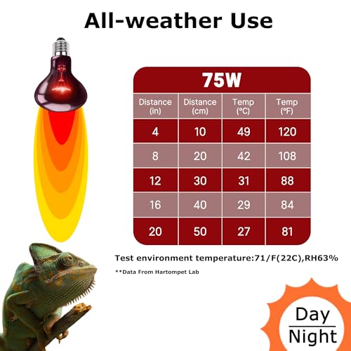 75W Infrared Basking Spot Light Bulbs – Ideal for Reptiles & Amphibians, Like Bearded Dragons, Snakes & Turtles; Red Heat Lamp for Brooders, Terrariums & Turtle Tanks | 2 Pack