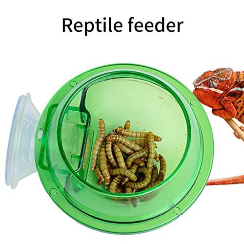 Reptile Bowl Feeder Water Dish Gecko Ledge Suction Cup Accessories for Gecko Lizard Snakes