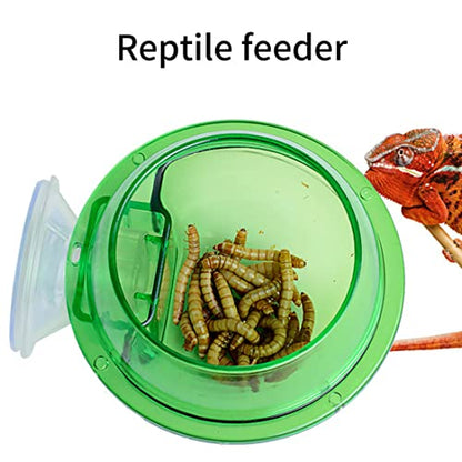 Reptile Bowl Feeder Water Dish Gecko Ledge Suction Cup Accessories for Gecko Lizard Snakes
