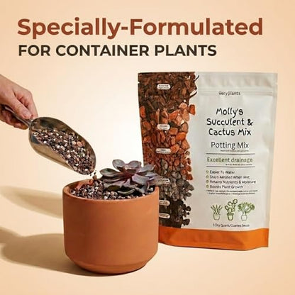 Molly's Succulent Mix - Premium Gritty Soilless Potting Mix for Succulents, Cactus and Bonsai - Contains Akadama, Hyuga, Bark Fines, Pumice, Lava Rock, Mycorrhizae 5 Dry Quarts - size: 5 Dry Quarts, style: Succulents & Cacti