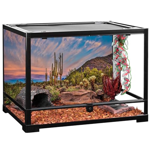 AWERT 24x16 inches Terrarium Background Blue Sky Cloud Huge Cactus Oasis Gobi Reptile Habitat Background Vinyl - size: 24x16in/60x40cm