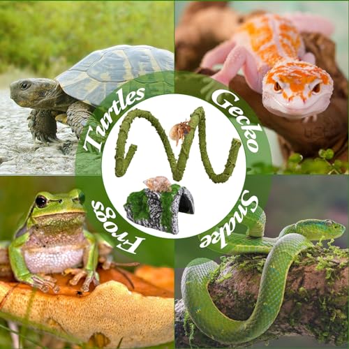 2Pcs Hermit Crab Climbing Toys Set, 39.4 in Bendable Hermit Crab Supplies, Reptile Vine Plus Reptile Hide Cave,Terrarium Accessories for Gecko Frogs Snake Habitat - color: Cave
