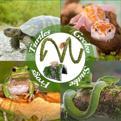 2Pcs Hermit Crab Climbing Toys Set, 39.4 in Bendable Hermit Crab Supplies, Reptile Vine Plus Reptile Hide Cave,Terrarium Accessories for Gecko Frogs Snake Habitat - color: Cave