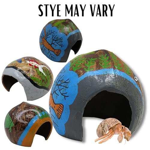 Needzo DIY Hermit Crab Habitat Starter Kit with Choya Wood, Coral Pieces, Large Coconut Hut, Crossing Bridge, Thermometer, Food Pouch, and Treat Pouch, All in One Pet Supplies, 7 Items