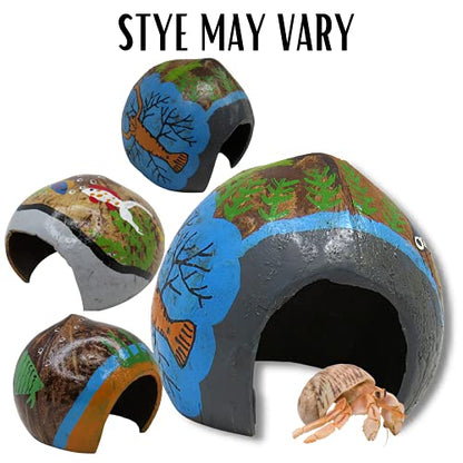 Needzo DIY Hermit Crab Habitat Starter Kit with Choya Wood, Coral Pieces, Large Coconut Hut, Crossing Bridge, Thermometer, Food Pouch, and Treat Pouch, All in One Pet Supplies, 7 Items