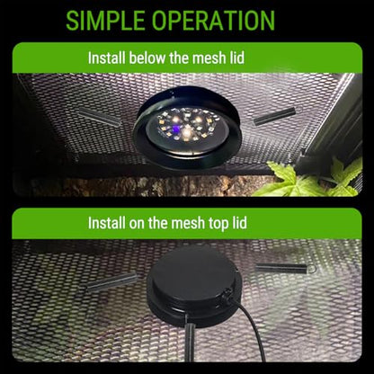 Small Full Spetrum LED UVA UVB Reptile Light with Dimmer & Cycle Timer for Bearded Dragon Lizard Gecko Snake Turtle, 8W, Bright Adjustable,UVB10.0,UVB5.0 & Daylight Modes Switchable,Aluminum Shell