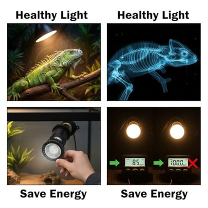 UVB 5.0 Reptile Light Bulb, 3W Full Spectrum UVA UVB Light for Reptiles, E27 Base, Aluminum Shell, Low Power Consumption, Supports Vitamin D3 Synthesis, 2.8 x 2.4 x 2.4 in