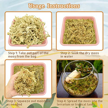 Riare 50QT Natural Sphagnum Moss for Reptiles 2.2LB Terrarium Reptiles Moss | Dried Terrarium Moss Bedding for Snakes Turtles Frogs Geckos Ball Pythons Lepard Gecko Lizards Bearded Dragon & Humid Hides - color: 2.2 LB