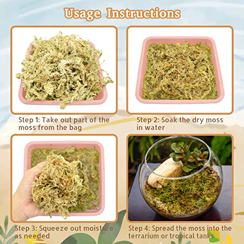 Riare 50QT Natural Sphagnum Moss for Reptiles 2.2LB Terrarium Reptiles Moss | Dried Terrarium Moss Bedding for Snakes Turtles Frogs Geckos Ball Pythons Lepard Gecko Lizards Bearded Dragon & Humid Hides - color: 2.2 LB