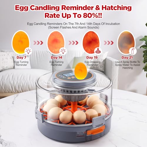 Chicken Egg Incubator 12-40 Eggs - Automatic 760° Egg Turner with Digital Display, Auto Temperature Humidity Control for Hatching Chicken Duck Quail Eggs, High Hatch Rate Poultry Incubator