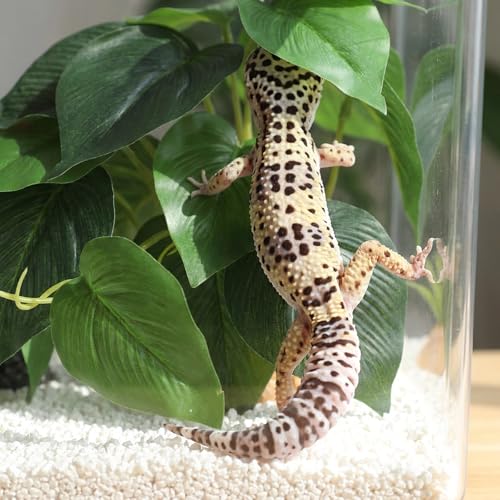 Artificial Reptile Terrarium Plants, Artificial Plant for Terrarium Fake Reptile Plants for Terrariums Plant with Suction Cup Habitat Accessories