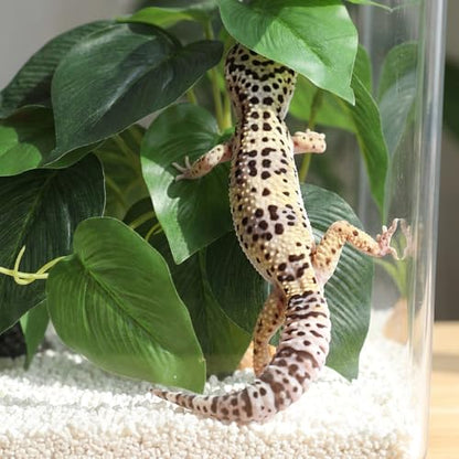 Artificial Reptile Terrarium Plants, Artificial Plant for Terrarium Fake Reptile Plants for Terrariums Plant with Suction Cup Habitat Accessories