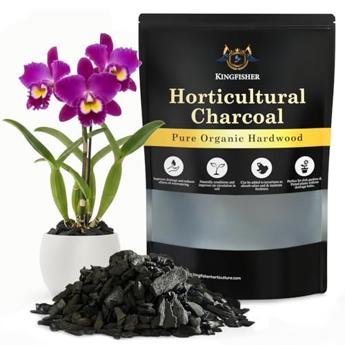 Organic Horticultural Charcoal & Terrarium Charcoal | Charcoal for Plants | Pure Hardwood Charcoal for Planting and Gardening | Organic Canadian Maple Biochar - size: 1 Quart