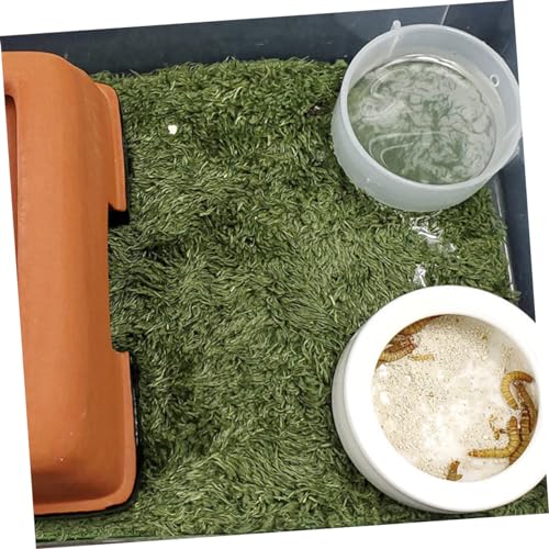 ORFOFE Artificial Lawn Mat for Reptile Box Snake Habitat Accessories Moss Terrarium Decor Gecko Tank Pad Lizard Tank Accessories Double-Sided Water Absorption