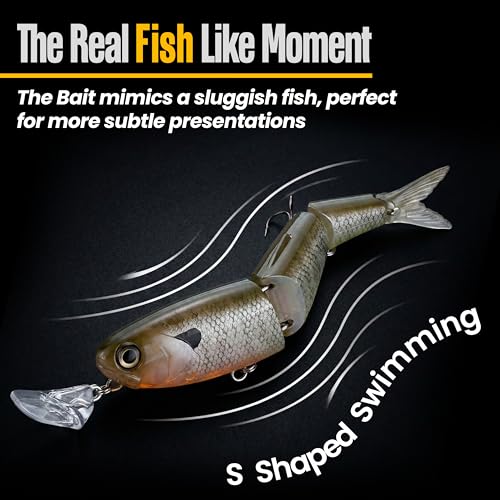 Headbanger Spitfire Topwater Fishing Lure (4-1/2" & 6-1/2") – Hybrid Wakebait & Propbait for Bass, Pike & Musky – Hard Body Swimbait with Action Lip & VMC Hooks - color: Golden Shiner, size: 6-1/2"