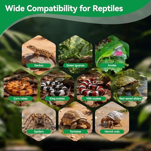 7 Pcs Organic Coconut Fiber Substrate, Biodegradable 100% Natural Coco Soil Brick, Multipurpose Eco-Friendly Terrarium Bedding for Reptiles, Tortoise, Bearded Dragon, Gecko, Snake & Amphibians - size: 7 Pcs