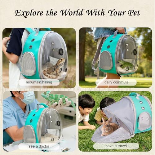 Bearded Dragon Travel Backpack Carrier with Reptile Thermometer and Humidity Gauge Lizard Travel Cage Space Capsule Clear Bubble Window Astronaut Reptile Bag for Ball Python (Green, BE Backpack) - color: Green, size: 11.8"L x 7.2"W x 11.8"H