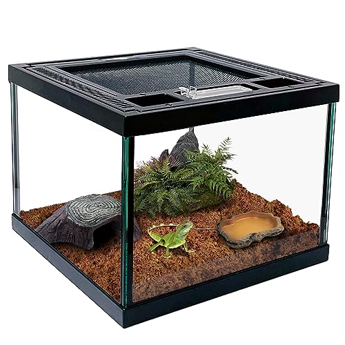 Mini Reptile Glass Terrarium Tank 8 * 8 * 6" Full View, Amphibians Box Habitat Enclosure Cage for Frog,Spiders,Dubia Cockroach,Praying Mantis,Cricket,Tarantula,Hermit Crab - size: 8*8*6inch
