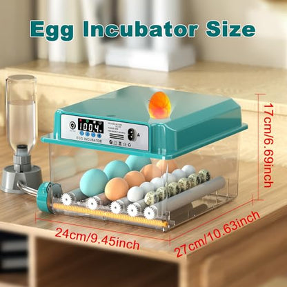 CoInceptus 16 Eggs Incubators for Hatching Eggs, Egg Incubator with Automatic Egg Turning and Temperature Control, Chicken Egg Incubators with Egg Candler for Duck Goose Pigeon Quail - size: 16 Egg