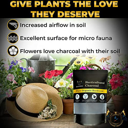Organic Horticultural Charcoal & Terrarium Charcoal | Charcoal for Plants | Pure Hardwood Charcoal for Planting and Gardening | Organic Canadian Maple Biochar - size: 1 Quart