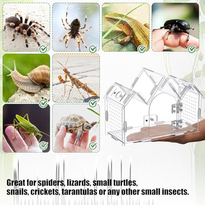 Transparency Acrylic Reptiles Breeding Box with Ventilation Holes for Clear Viewing and Pet Safe Enclosure