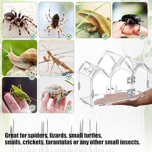 360 Degree Clear Views Reptiles Terrarium Box Ventilated Design Tanks House for Quick Maintenances and Plant Display Use Reptiles Habitat House