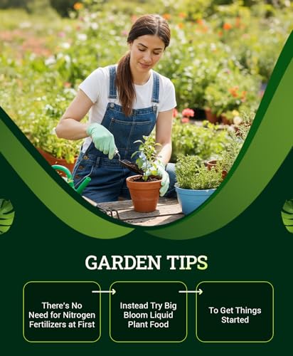 FoxFarm Ocean Forest Potting Soil for Container Gardens - Light, Aerated Texture with Fish Meal, Crab Meal, Earthworm Castings - Houseplant Potting Mix for Seedlings & Plant Starts - 4 x 12 Quart - size: 12 quart (4 Pack)