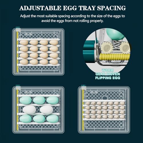 Automatic Egg Incubator 36-Tray, Digital Humidity Control with Auto Flip, Adjustable Egg Spacing, Fahrenheit Display, Suitable for Chicken, Duck, Goose, Bird Eggs, Quail Eggs