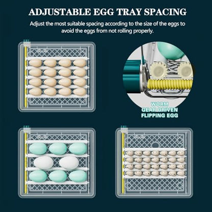 Automatic Egg Incubator 36-Tray, Digital Humidity Control with Auto Flip, Adjustable Egg Spacing, Fahrenheit Display, Suitable for Chicken, Duck, Goose, Bird Eggs, Quail Eggs