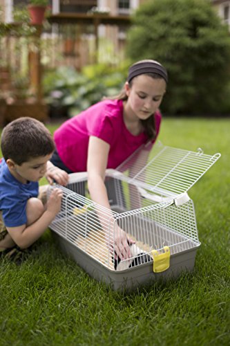Prevue Pet Products Small Animal Travel Carrier - Hamster, Bird, Parakeet, Gerbil, Rabbit, Ferret, Guinea Pig, & Rat Carrier, Easy Pet Transportation, Travel Bird Cage, Lightweight & Portable - Gray
