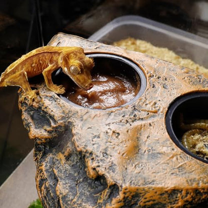 Gecko Feeding Ledge, Double Bowl Reptile Feeding Tray Magnetic Reptile Terrarium Tank Accessory for Geckos Lizards Chameleons Reptile Pets