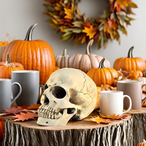 1:1 Resin Skull Head Model Simulation Skeleton Head Medical Skull Art Copy for Halloween Decor