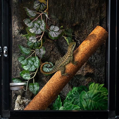 DQITJ 2 Pack Reptiles Climbing Branch Natural Tree Frog Cork Wood Stick Cork Branch for Frog Snake Lizard Bearded Dragon Chameleon