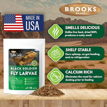 Black Soldier Fly Larvae, Bearded Dragon Food, Bugs for Reptiles, Worms for Geckos, Insect Protein, Baby Bearded Dragon Food, Made in USA (1 Pound (Pack of 1)) - size: 1 Pound (Pack of 1)