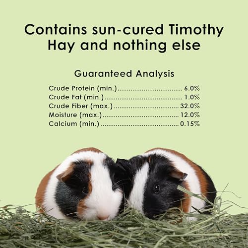 Kaytee Timothy Hay, High Fiber, Grown Specifically for Small Animals, Rabbits, Guinea Pigs, Chinchillas, Ideal Bulk Order for Small Pets, 6 Pounds - size: 6 Pound (Pack of 1)