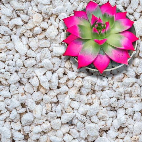GARDENWISE Perlite for Plants, Extra Coarse Grade 4 Horticultural Perlite, Organic Perlite for Gardening Indoor & Outdoor, Made in USA (1 Quart) - color: Extra-Coarse Perlite (Grade 4), size: 1 qt