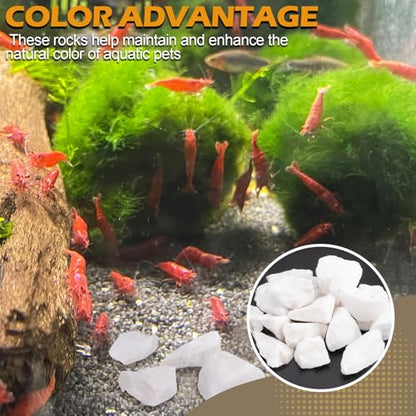 Shrimp Rocks, 5 oz for Crayfish, Snails, Hermit Crab, Crustacean, Aquarium | for Marine Tanks, Freshwater Use & Terrarium Habitats