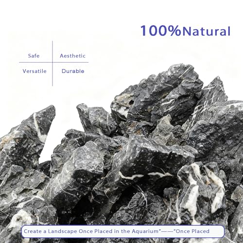 Natural Seiryu Rocks Aquarium Hardscape Rocks 20lb Aquascaping Stones for Fish Tank Aquarium Terrarium Shrimp Paludariums and Planted Tank Décor-2-9 Inches - size: 20lb(2-9in)