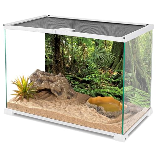 AWERT 30x12 inches Forest Terrarium Background Stone Green Huge Tree Reptile Habitat Background Tropical Rainforest Aquarium Background Durable Polyester Background - size: 30x12in/75x30cm