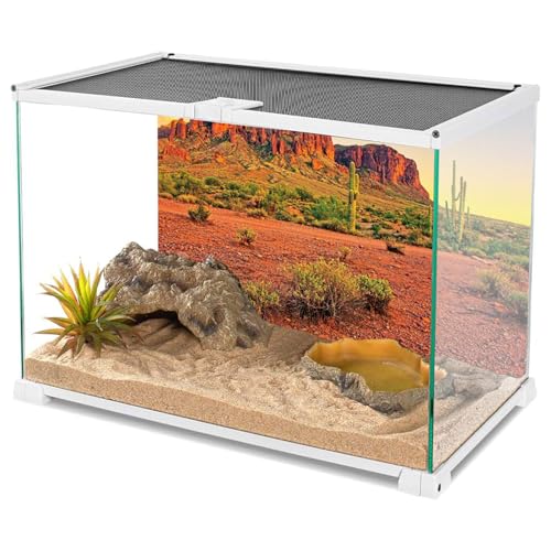 AWERT 72x24 inches Reptile Habitat Background Sky Oasis Mountain Cactus Sun and Desert Terrarium Background Durable Polyester Background - size: 72x24in/180x60cm