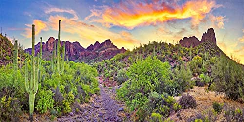 AOFOTO 20x10ft Western Desert Backdrop Arizona National Park Rock Mountain Green Plants Saguaro Cactus Landscape Terrarium Background Reptile Habitat Tank Decor Cowboy Pet Portrait Photo Shoot Props - size: 20x10ft