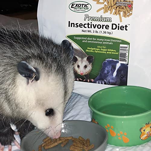 Premium Insectivore Diet (1.25lb) - Healthy Nutritious Chicken Based High Protein Pellet Diet - for Sugar Gliders, Hedgehogs, Opossums, Skunks & Other Insectivores - size: 1.25 Pound (Pack of 1)