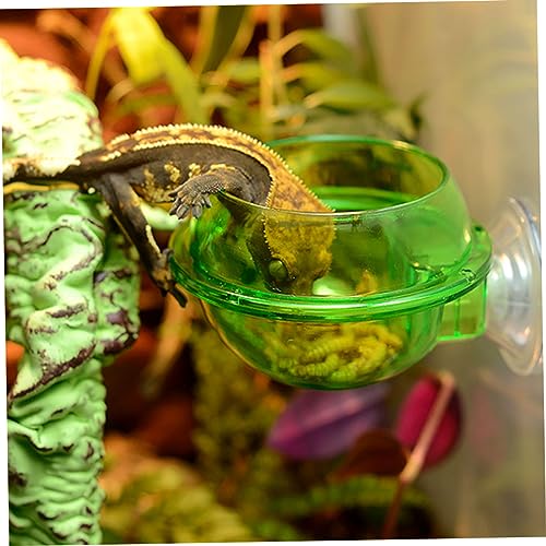Reptile Bowl Feeder Water Dish Gecko Ledge Suction Cup Accessories for Gecko Lizard Snakes